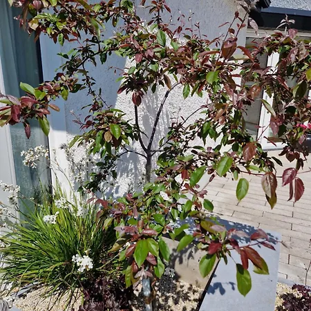 Castletroy Retreat * Limerick Junction