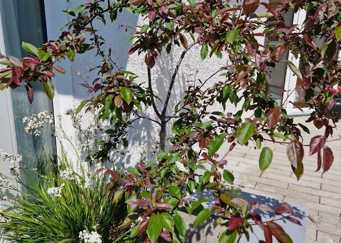 Castletroy Retreat * Limerick Junction